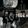 mustafaalii250