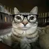 kuromii_161