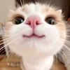 sheyyy_222