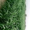 user6573010151298