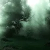 thetwilightfan.co