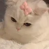 zazzzzzaazaaa0984