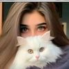 sg_writes8