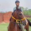 rehmanchohan215