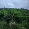 phuong.ha604