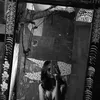 anarot01