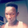 stephen23273