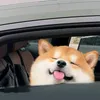 _nt_qn