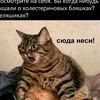 krivedko0