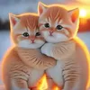thanh.tham8795