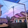 audy_772