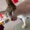 justkimi.2