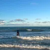 mvs8k