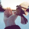 alq.sahar