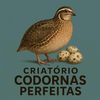 criatoriocodornasperfeit