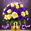 adjoda.ag