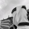alaaalkhalid4