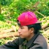 signalboy516