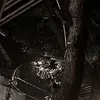 nangxuan09