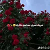 my.love.ayad