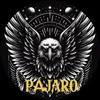 pajaro__dark