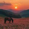 .aisha7220