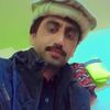 fiazahmad.dubia