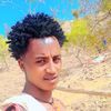 tekleweyni.gebrew
