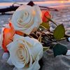 sakr.alarab93