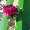 ma_fo9p