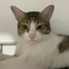 qvkkqv