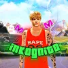 incognito18383738