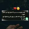 user20053213331196