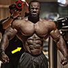 GYM SHARKS