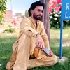aliactor309