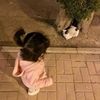 amira.abdi