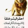 user9250083552686