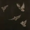 houdasb08