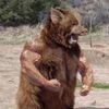 manbearpig91
