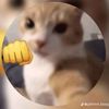 manu_7b1