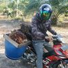jemghifari