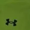 ali_tnsi2