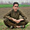 shahkirzeeb0