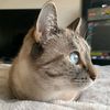 marky_mark_007