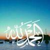 amlmohamed5245