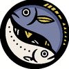 たくみ🧚