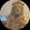 dinocka_293