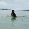 lleneche