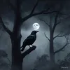 averky000