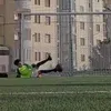carlolupo0